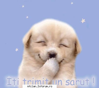 Meciuri cu nF - nu mai zic nik. decat hf & gl :) - Generalitati